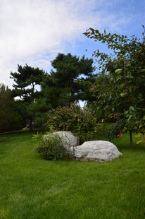 公园风景 