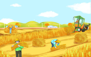 庄稼丰收农民丰收节