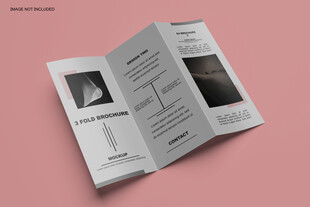 三折页样机