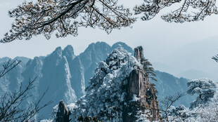 冬季雪景