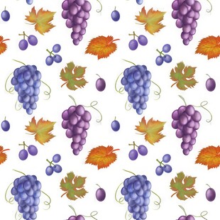 紫色葡萄叶子藤蔓植物水彩插画