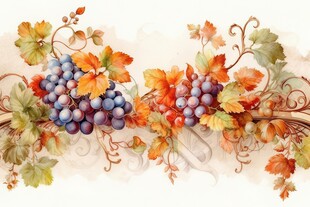 紫色葡萄叶子藤蔓植物水彩插画