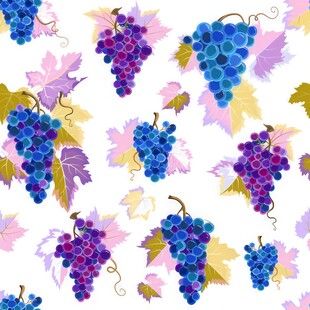 紫色葡萄叶子藤蔓植物水彩插画