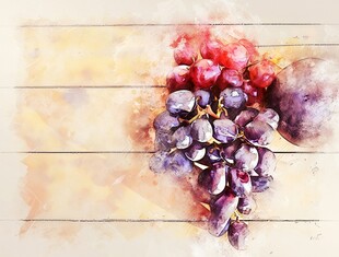 紫色葡萄叶子藤蔓植物水彩插画