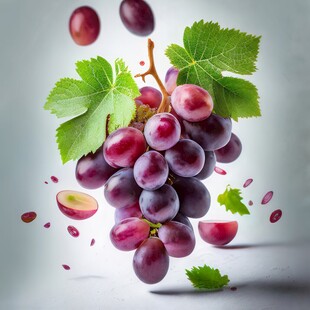 紫色葡萄叶子藤蔓植物写真素材