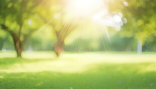 户外风景草地蝴蝶白云背景图