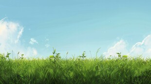 户外景色草地蓝天白云背景图