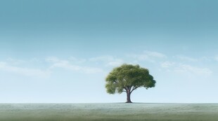 户外景色草地蓝天白云背景图