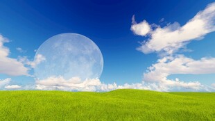 户外景色草地蓝天白云背景图