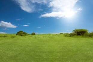 户外景色草地蓝天白云背景图