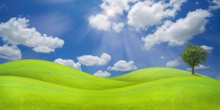 户外景色草地蓝天白云背景图