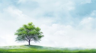 户外景色草地蓝天白云背景图