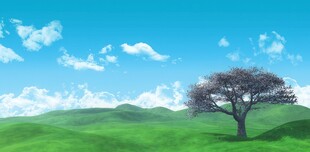 户外景色草地蓝天白云背景图