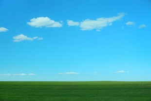 户外景色草地蓝天白云背景图
