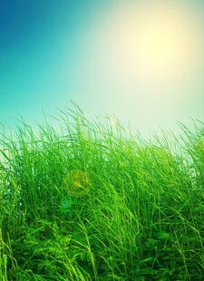 户外景色草地蓝天白云背景图