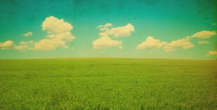 户外景色草地蓝天白云背景图