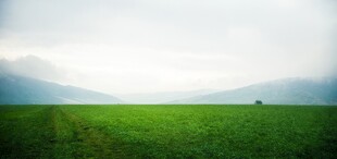 户外景色草地蓝天白云背景图