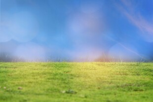 户外景色草地蓝天白云背景图