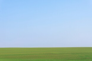 户外景色草地蓝天白云背景图