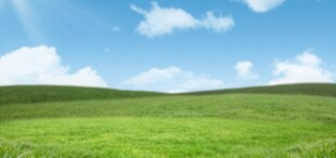户外景色草地蓝天白云背景图