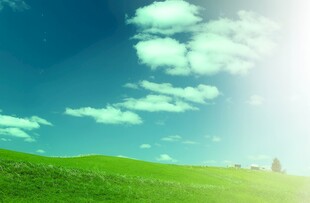 户外景色草地蓝天白云背景图