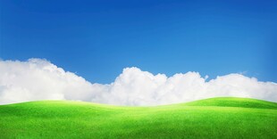 初春户外景色草地蓝天白云背景图