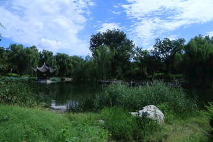 公园风景  