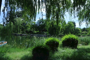 公园风景  