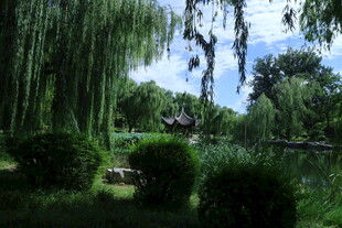 公园风景 