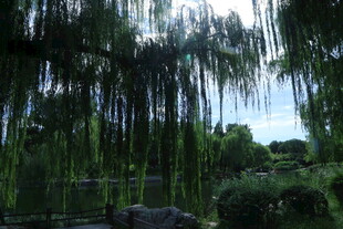 公园风景 