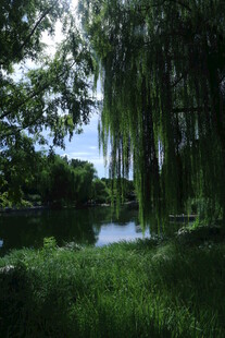 公园风景  