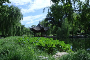 公园风景 