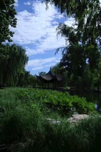 公园风景  
