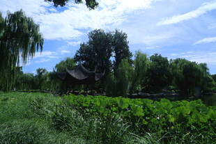 公园风景  