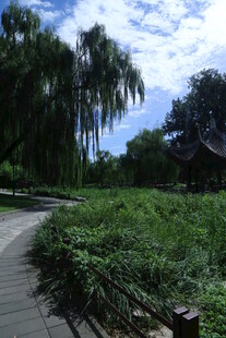 公园风景 