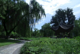 公园风景 