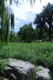 公园风景 