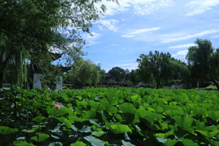 公园风景  