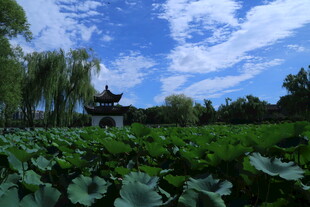 公园风景  