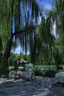公园风景 
