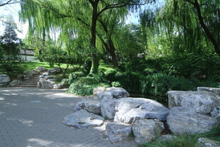 公园风景  