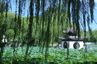 公园风景 