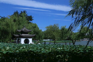 公园风景  