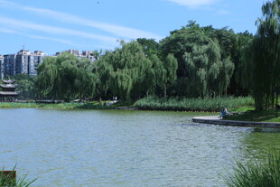 公园风景  
