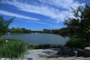 公园风景 