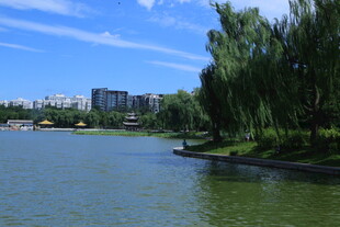 公园风景  