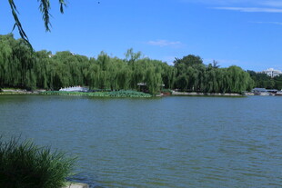 公园风景  