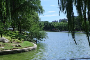 公园风景  
