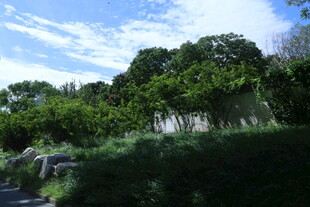 公园风景 
