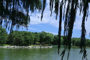 公园风景 